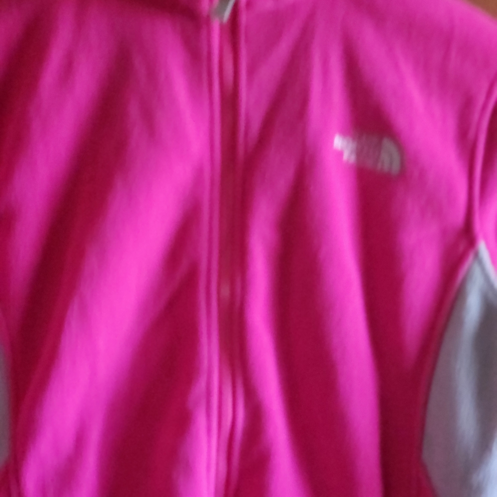 The North Face Kids Pink Sweatshirt